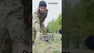 How can I train my dog to stop barking Dog barking training Stop dog barking tips Dog behavior [upl. by Glovsky]