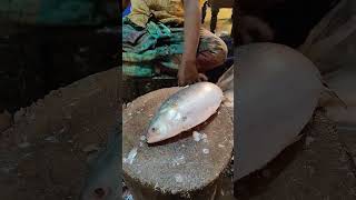 Fast Fish Cutting Skills Hilsha Fish Cutting fishsellers [upl. by Athelstan]