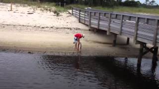 Catching redfish on Oysterbeds in Alligator Point [upl. by Irrabaj178]