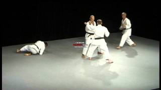 Bunkai Tekki Shodan [upl. by Mercer]