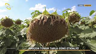 Amazon Tohum Tarla Günü Etkinliği  Baron Ayçiçeği Tohumu Bilgilendirme [upl. by Eelarat]