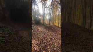 vtt foret jumpenduro saut en vtt [upl. by Arikat]