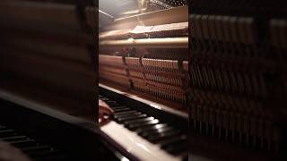 Hammers in a upright piano pianomusic composingmusic piano [upl. by Alvina]