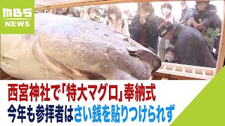 十日戎を前に西宮神社で「特大マグロ」奉納式 今年も参拝者はさい銭を貼りつけられず（2023年1月8日） [upl. by Chloras]