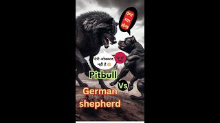 Pitbull vs German shepherd dog real fight pitbullfight pitbull fight attack rottweilerfight [upl. by Ellicott417]