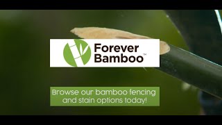 How to Enhance Your Bamboo Fencing With Stain [upl. by Ashia672]