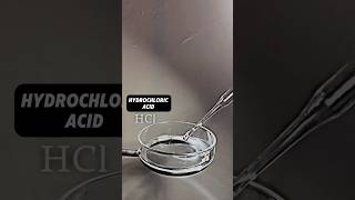 Hydrochloric and more acid experiment experiment chemical chemistry education shorts youtube [upl. by Lewls]