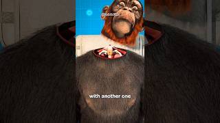 Monkey Head Transplant😳 Explained shorts youtubeshorts [upl. by Yracaz813]