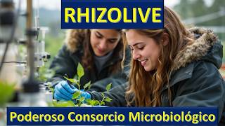 RHIZOLIVE Concepto aplicaciones y avances [upl. by Eelyram693]