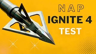 NAP IGNITE 4 Broadhead Test [upl. by Tavia]