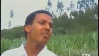 Qasa Qasa Guragigna Music Videos ethiopian music [upl. by Callida]