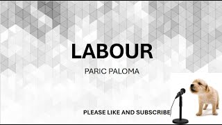 LABOUR BY PARIC PALOMA​ LYRICS [upl. by Ainolopa]