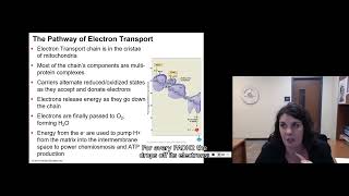 92 Carbohydrate Catabolism [upl. by Kati]