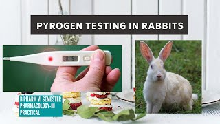 Test for Pyrogens Rabbit method [upl. by Ehr330]