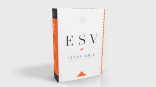 The ESV Study Bible A Look Inside [upl. by Marlo]