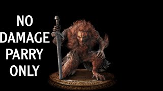 Elden Ring  Leonine Misbegotten No Damage  Parry Only [upl. by Laux]