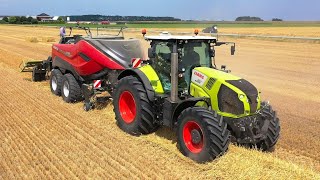 Combinen met Claas Lexion 770 en persen met Case IH LB 436 Westerhof [upl. by Akerley]