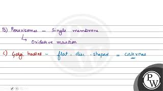 Which is the important site of formation of glycoproteins and glycolipids in eukaryotic cells [upl. by Demah]