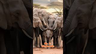 Top 5 Animals That Exhibit Altruistic Behavior AnimalKindness WildlifeHeroes Nature [upl. by Frick]