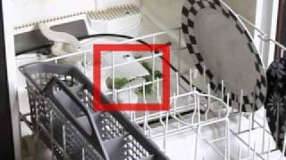 Dishwasher Poor Wash  Blocked Pump [upl. by Assilanna612]