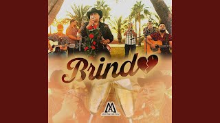 Brindo [upl. by Donald]