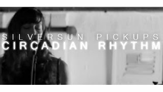 Circadian Rhythm Last Dance  Silversun Pickups Lyrics [upl. by Sivla]