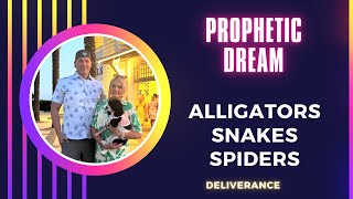 Prophetic Dream  Gators Snakes Spiders and FREEDOM [upl. by Afatsom852]