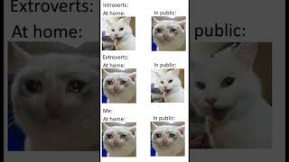 me vs introverts vs extroverts funnymemes memes funnycomedy [upl. by Siramad]