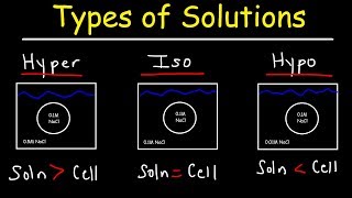 Hypertonic Hypotonic and Isotonic Solutions [upl. by Shaylyn]