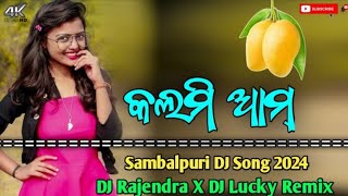 Kalmi Aam ll Sambalpuri DJ Song ll Tapori Style Mix 2024 ll Sambalpuri Song Dj [upl. by Cart167]