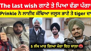 Prinkle ludhiana Tiger halwara  prinkle ludhiana reply to bhaana sidhu and  the last wish sidhu [upl. by Aitital]