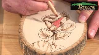 How to Use Oil Based Color Pencils with Wood  TreelineUSAcom [upl. by Odragde]