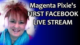 Magenta Pixies First Facebook Live Stream [upl. by Reivilo982]