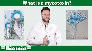 What is a mycotoxin Your Animal Nutrition Questions Answered [upl. by Estella]