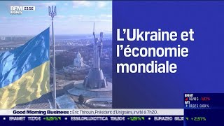 Guerre en Ukraine quel impact pour léconomie mondiale [upl. by So]