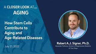 Unveiling the Connection Between Stem Cells Aging and Disease [upl. by Ellennaj]