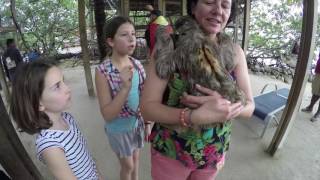 Roatan Sloth amp Monkey Hangout [upl. by Adna]