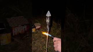 Silberschweif Rakete 🚀 fajerwerki fypシ゚viral feuerwerk vuurwerk fyp 2024 [upl. by Einberger]