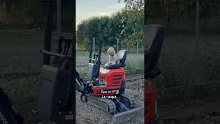 Scavi Profondi 🚜 cane divertente canedivertente funny dog [upl. by Loriner]