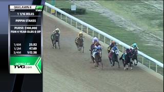 Pippin Stakes on TVG [upl. by Welcher]