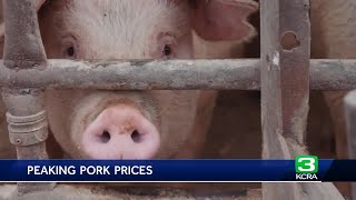 New study points to California law for rising pork prices [upl. by Lunette]