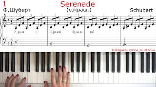 SERENADE SCHUBERT easy СЕРЕНАДА ШУБЕРТ ЛЕГКАЯ ВЕРСИЯ НА ПИАНИНО PIANO Очень красивая мелодия Simple [upl. by Eelrahs]