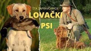 Sve o lovačkim psima i šta oni rade Lovna kinologija Goniči ptičari krvoslednici jamari [upl. by Placeeda]