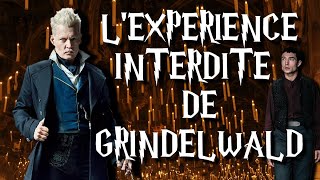 THÉORIE ANIMAUX FANTASTIQUES  L’EXPÉRIENCE INTERDITE DE GRINDELWALD ⚡ [upl. by Gensler]