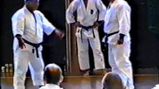 IKS KASE HA RUSSIA  Taiji Kase seminar 1 part Sweden  Malmompg [upl. by Yetti]