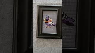 Voló la paloma 🕊️🪡 puntodecruz crossstitch diy xstitch flosstube art pigeon pigeonlover fly [upl. by Ulane636]