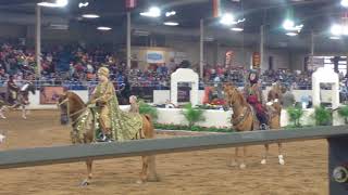 Scottsdale Arabian Horse Show 2018 [upl. by Ahsemo]