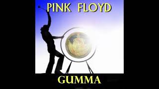 Pink Floyd  Umma amp Gumma 1968  1972 [upl. by Drice]