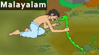 Be With Gratitude  പഞ്ചതന്ത്രകഥകൾ  Cartoon  Animated Stories [upl. by Aniraad]