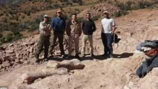 Biggest Dinosaur Ever Fossilised Bones Discovered In Argentina Trelew Patagonia [upl. by Pate]